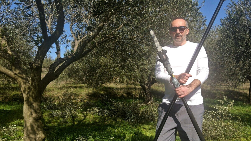 Kakve veze ima restrukturiranje firme, farme ili pogona s rezidbom?