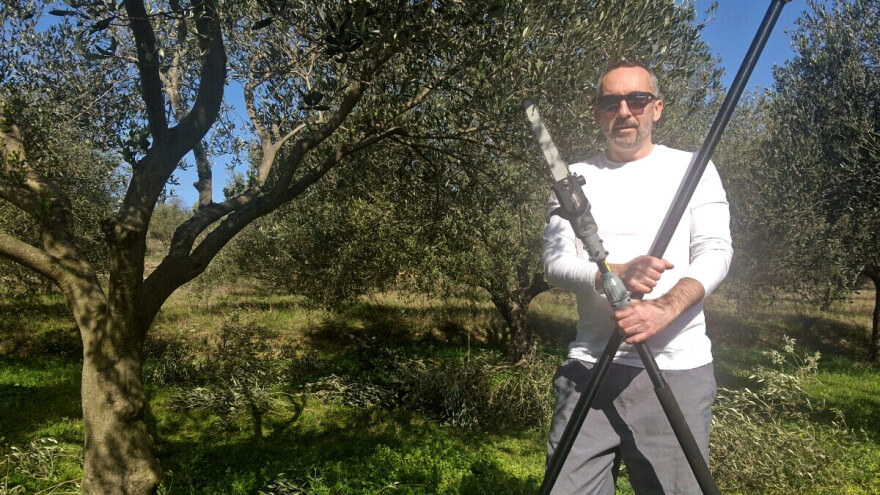 Kakve veze ima restrukturiranje tvrtke, farme ili pogona s rezidbom?