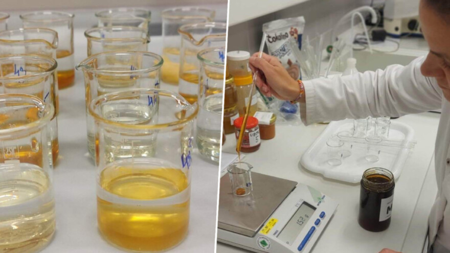 Analiza meda i pčelinjih proizvoda – kako, zašto, i gdje napraviti?