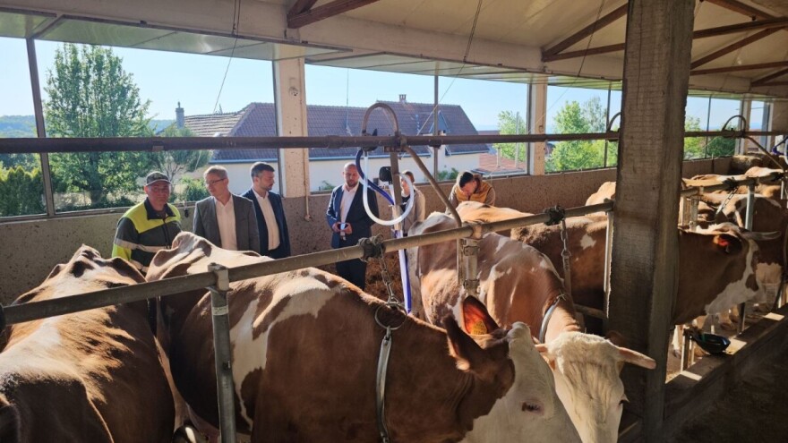 Od 1. januara 2026. godine premija za mleko na osnovu kvaliteta