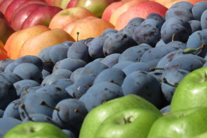 Kad se voćarske ruke slože: Šljiva poznata do Beča, tržište osvajaju i jabuke i sokovi