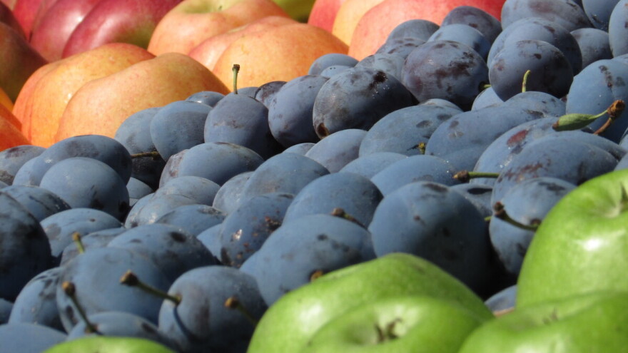 Kad se voćarske ruke slože: Šljiva poznata do Beča, tržište osvajaju i jabuke i sokovi
