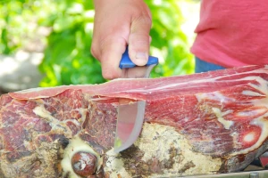 Vrgorac u Zagrebu uz jagode, pršut i vina