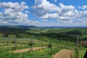 3. CroVin konferencija: U fokusu klimatski izazovi i nove tehnologije