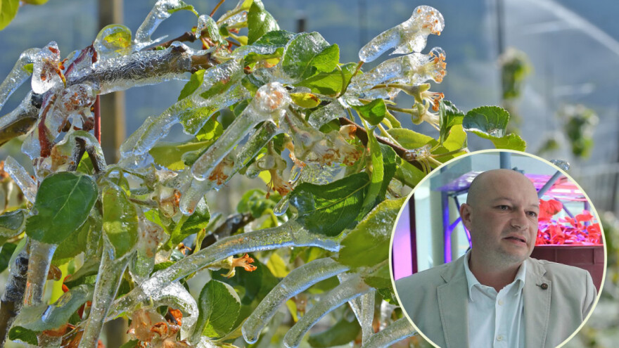 Profesor Stanisavljević: Znanje je najbolji sistem zaštite od mraza