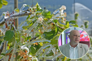 Profesor Stanisavljević: Znanje je najbolji sustav zaštite od mraza