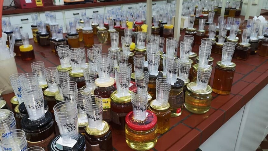 U Tuzlu stiglo 900 uzoraka meda s tri kontinenta – biraju najbolji?