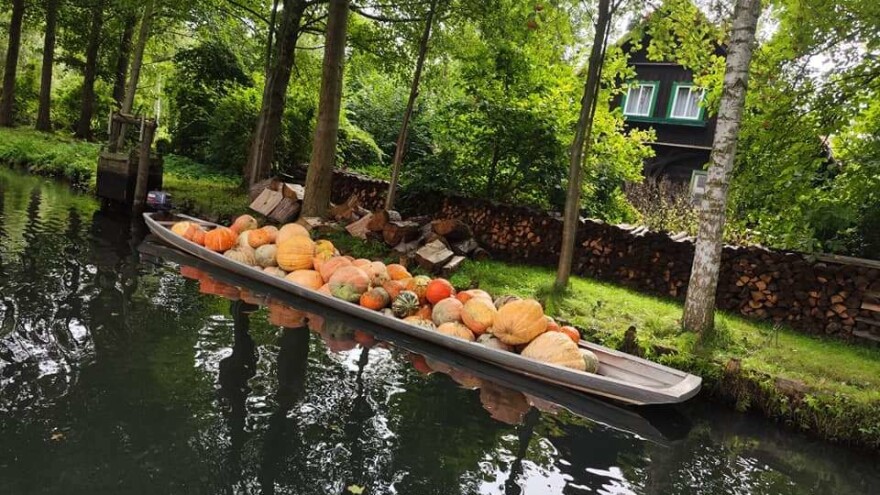 Do bundeva preko kanala - običaj u njemačkom Spreewaldu