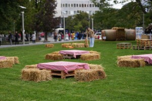Banja Luka u jesenjem ruhu: Otvoren festival cvijeća i plodova
