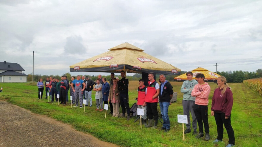 Gimnazijalci iz Gradačca najbrže beru kukuruz, a ko je najsporiji?