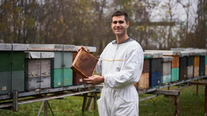 Kod "Pčelarevog sina" ova godina rekordna po količini meda