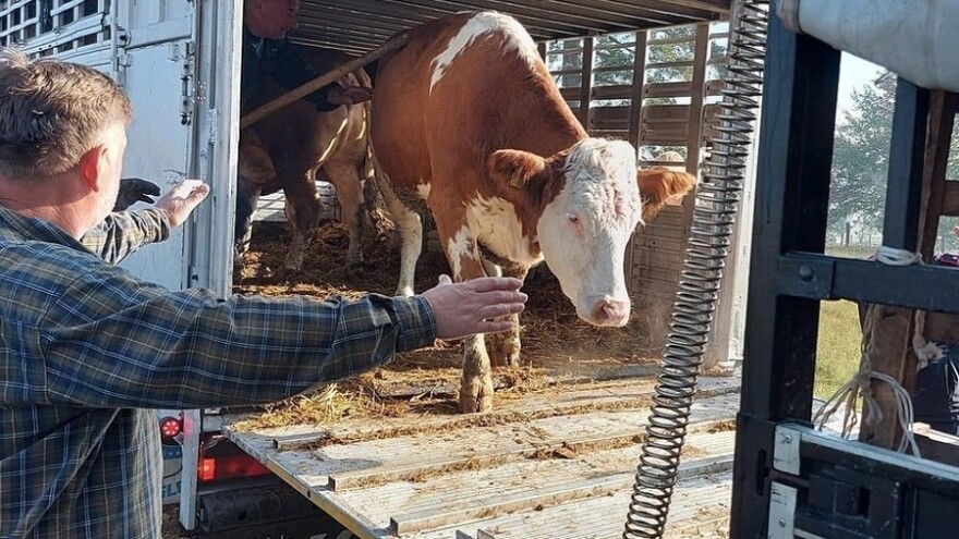 Počela isplata poticaja za kapitalne investicije za 2023. godinu