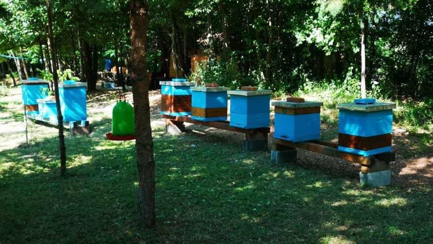 Pčelari organizuju put meda i zdravlja - degustacija i edukacija