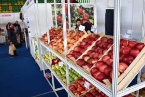 Počinje trodnevni sajam "Dani jabuke" u Goraždu