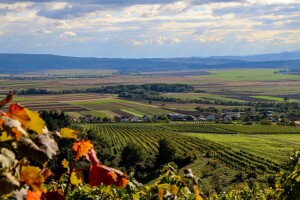 Agro party u Venju: Bogata zabava uz korisna predavanja o ulaganjima u poljoprivredu