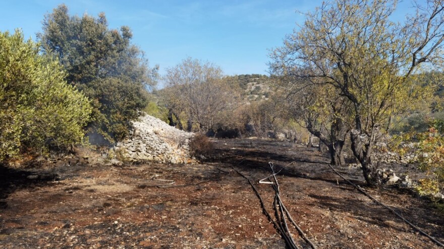 Izgorio maslinik - vlasnik pokušao ugasiti požar pa završio u bolnici