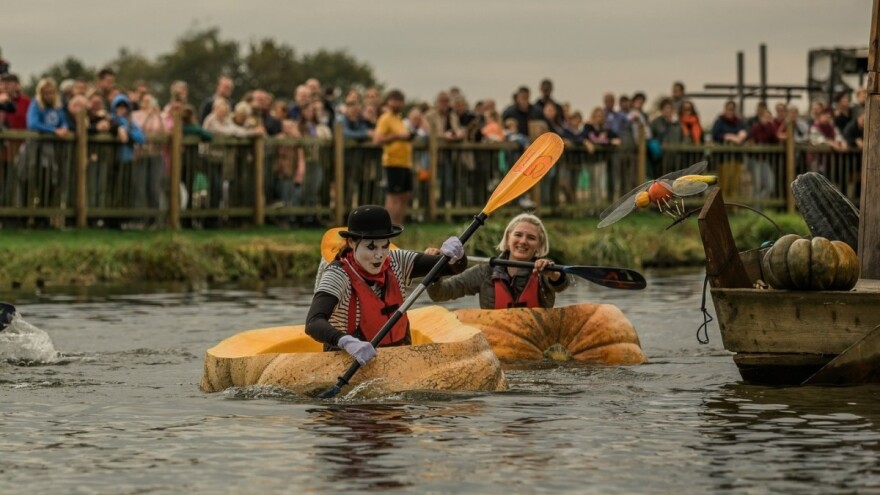 Regata u bundevama: Veslanje zahtjeva vještinu
