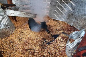 Izgorjelo sedam tona kukuruza i postrojenje za sušenje