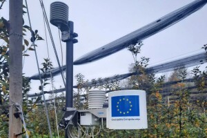 Savremena dijagnostika pružat će informacije o početku biljnih bolesti