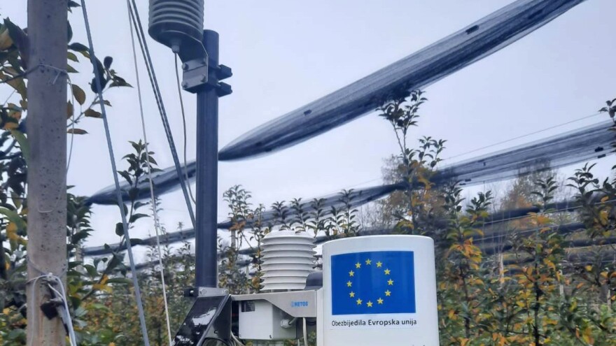 Savremena dijagnostika pružat će informacije o početku biljnih bolesti