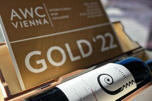 Od inata do zlata: Jungić najbolja vinarija iz BiH