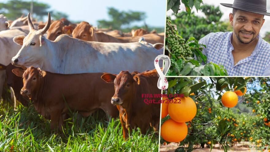 Brazil - zemlja fudbala, sambe, kafe, soje, ali i problema u poljoprivredi?