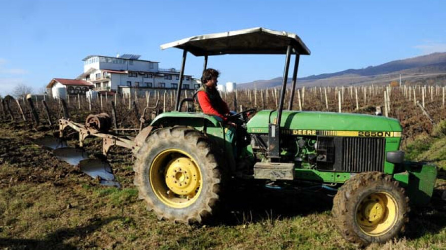 Zaoravanje čokota važna agrotehnička mjera