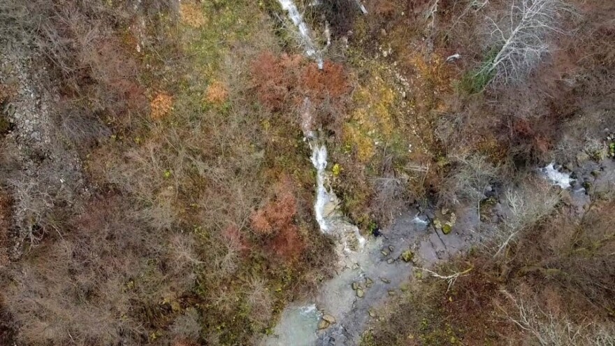 Šta je izazvalo veliki pomor ribe u Kaknju?