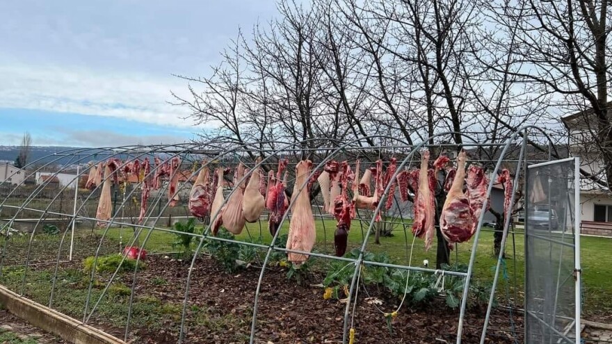 Povješao pršute na konstrukciju plastenika - fotografija postala hit