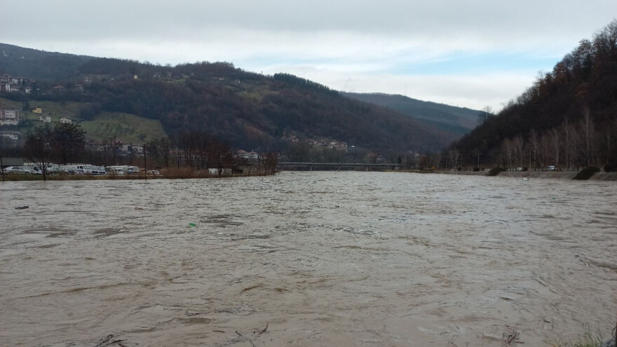 Bujica tokom poplava odnijela bika teškog 800 kilograma