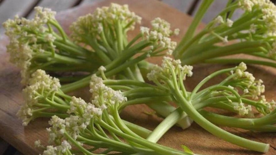 Caulilini - novo povrće ili dobar marketinški trik?