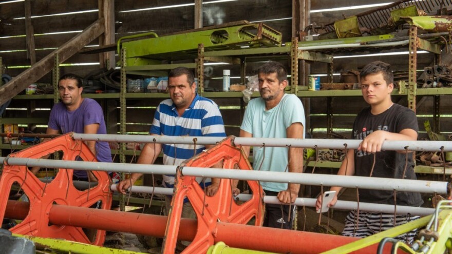 U poljima od malih nogu: Živimo od uzgoja pšenice