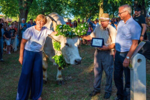 Popunio se od lani - Sarožin ponovno najteži boškarin, srušio vlastiti rekord