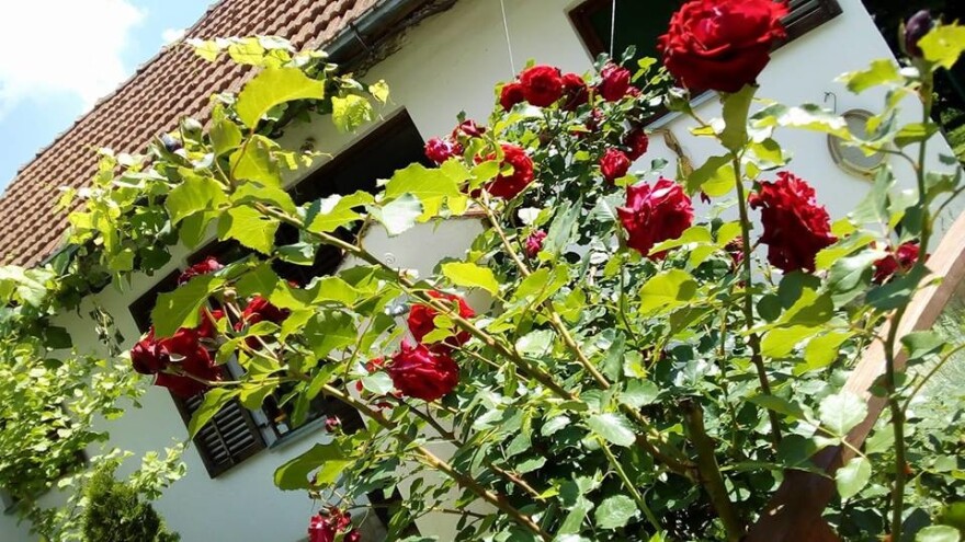 Povratak na selo - promena za koju treba biti spreman