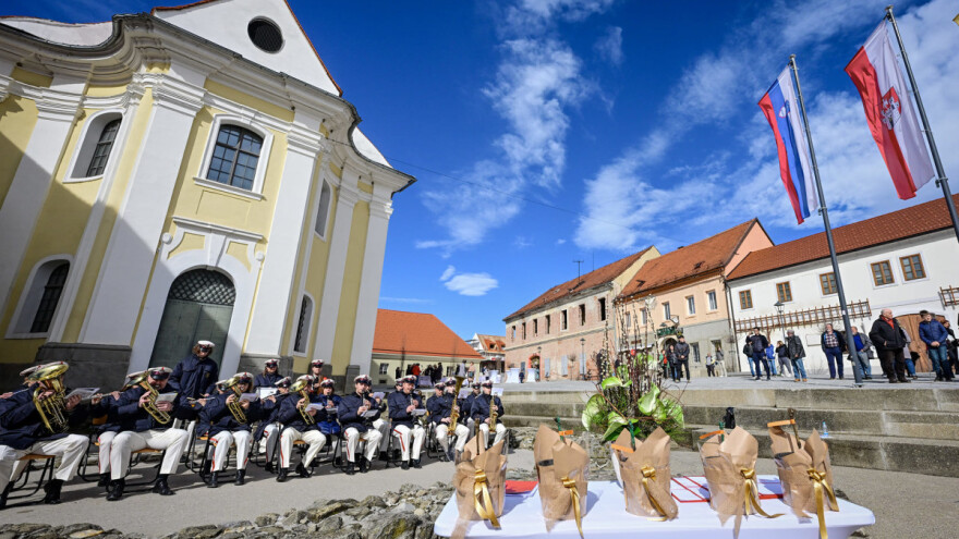 Najstarija vinova loza na svijetu stigla u Baranju, Međimurje i na Pelješac
