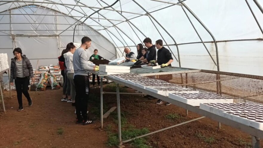 U trebinjskom rasadniku 20.000 sadnica povrća