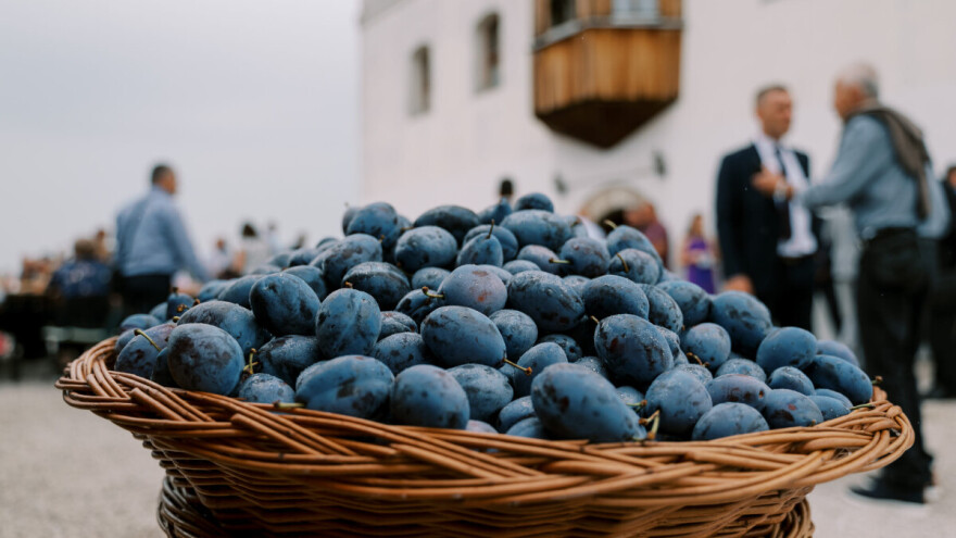 Sajam šljive zakoračio u drugu polovinu stoljeća, poznate cijene zakupa na 51. izdanju