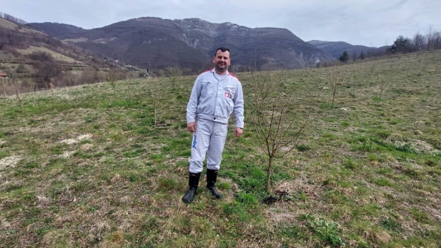 Predrag "spašava" pradjedovinu: Umjesto šiblja, lješnik!