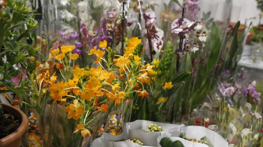 Šta je danas trend u cvećarstvu?