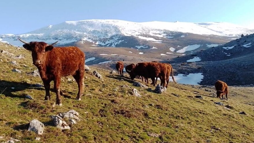 Američki san ostvaruje u BiH - salersi s lakoćom prezimili na Bjelašnici