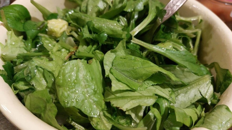 Dobru salatu prave rasipnik, cicija, mudrac i budala?