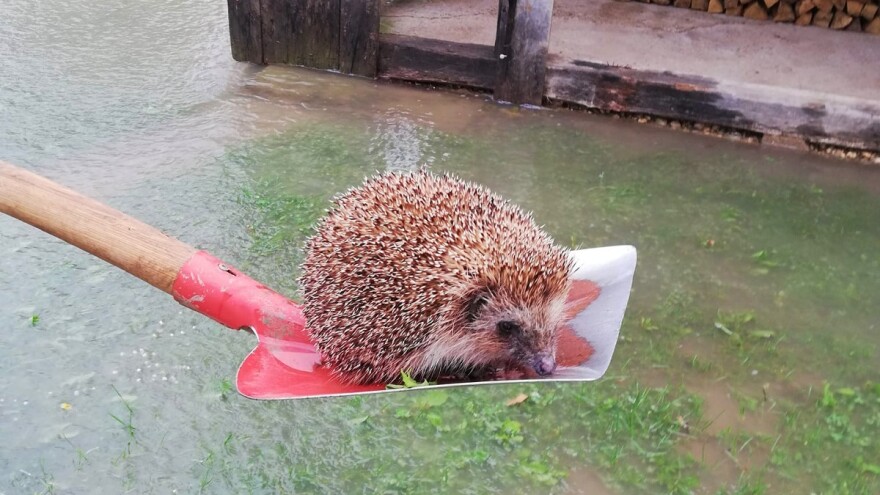 Sanski Most proglasio stanje prirodne nesreće: Poplavljeni objekti i zemljište