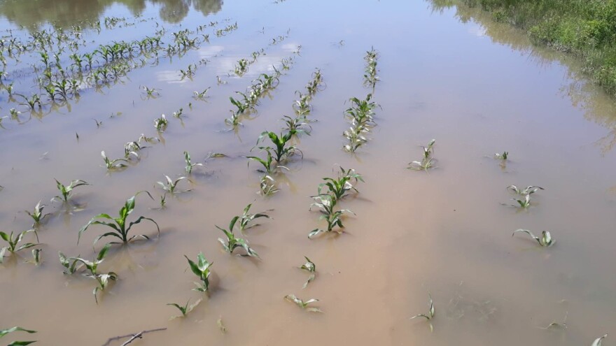 Farmeri traže hitnu reakciju FMPVŠ: Propadaju usjevi, poticaja nema