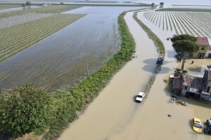 Morat će ponovo saditi 15 milijuna voćnih stabala - Emilia Romagna na koljenima