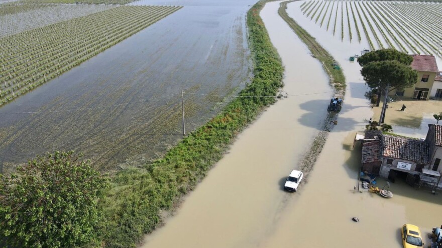 Morat će ponovo saditi 15 miliona voćnih stabala - Emilia Romagna na koljenima