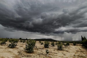 Jedva dočekali kišu, a onda morali zaustaviti berbu voća - poplave u Španjolskoj