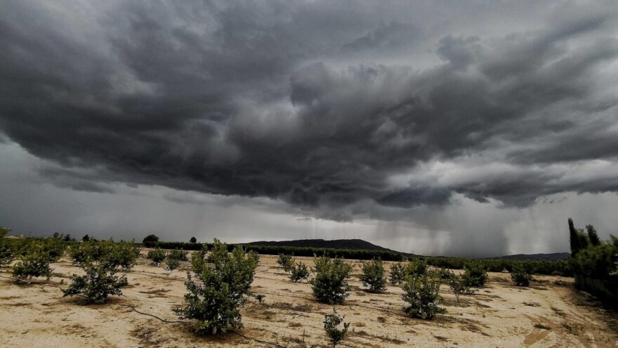 Jedva dočekali kišu, a onda morali zaustaviti berbu voća - poplave u Španiji