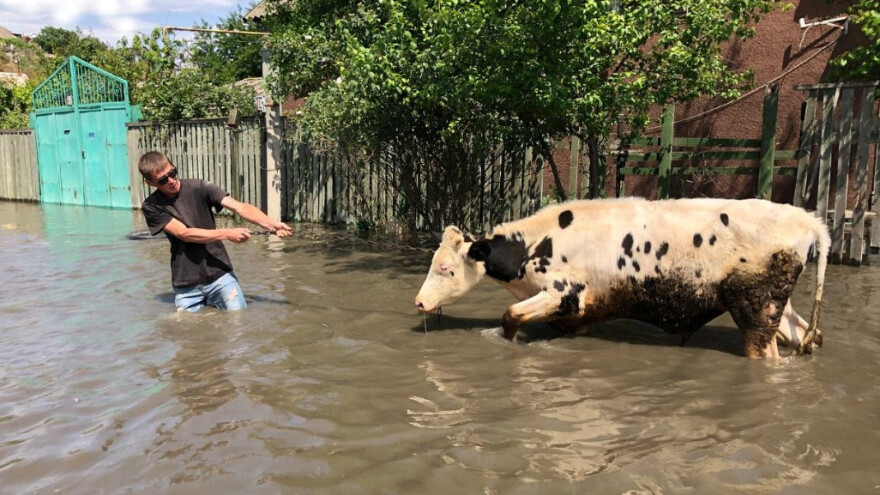 Voda poplavila ukrajinsku poljoprivrednu regiju - rastu cijene žitarica na berzama