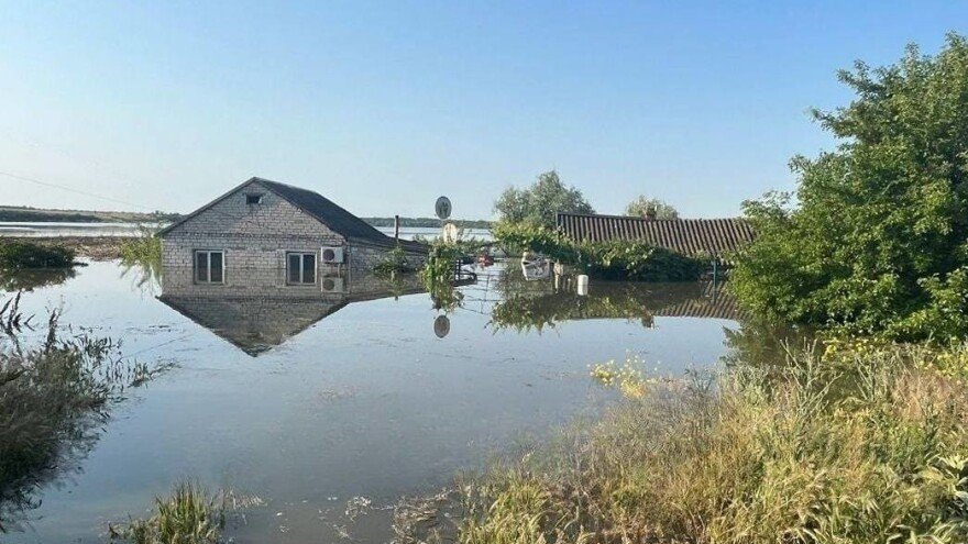 Posle poplave - pustinja, globalna nesigurnost i visoke cene hrane