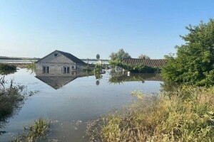 Nakon poplave - pustinja, globalna nesigurnost i visoke cijene hrane
